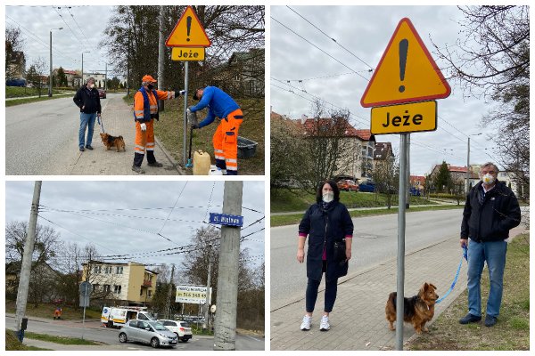 Jeże na Dąbrowie będą bezpieczniejsze