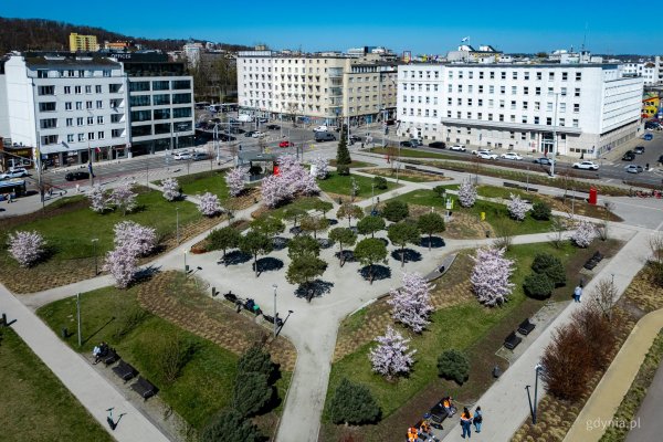 Konsultacje społeczne w sprawie projektu „Strategii rozwoju miasta Gdyni do 2035 roku”