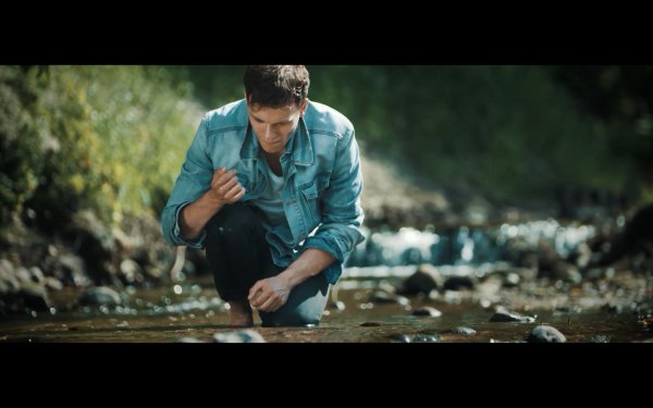 „ZOE” – powrót do natury z Gdynią w tle