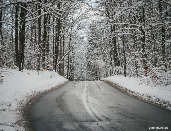 Rekordowa zima w Gdyni. Miliony złotych i tysiące ton soli