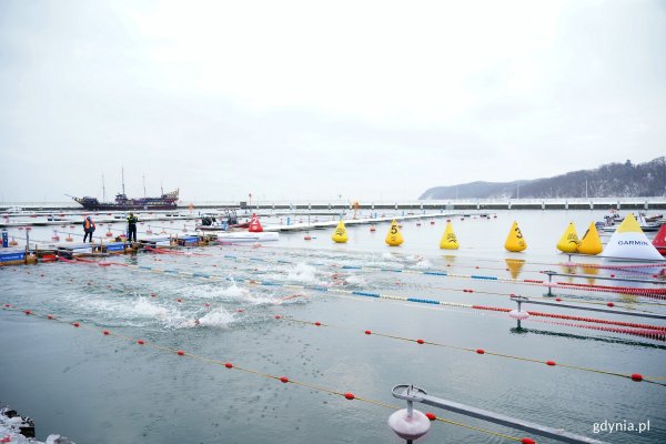 Gdynia Winter Swimming Cup w rekordowo zimnej odsłonie