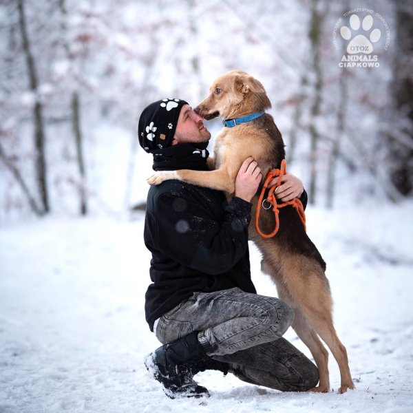 Zwierzę pod choinkę? Najgorszy z prezentów