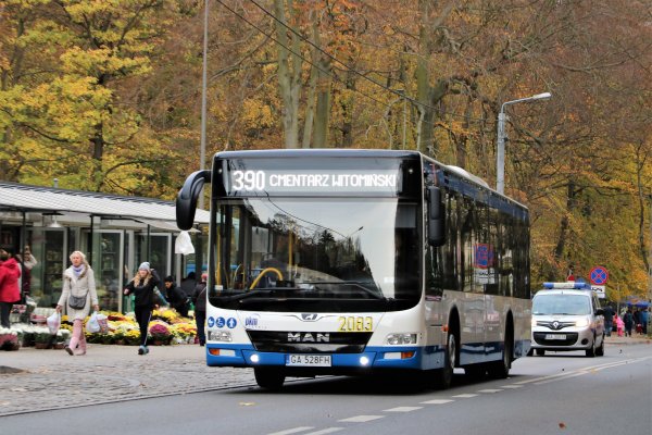 Dzień Wszystkich Świętych. Jakim autobusem dojedziemy na cmentarz?