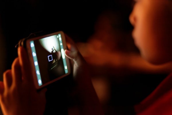 Wkrocz w świat filmu. „Młode Albatrosy” wystartowały
