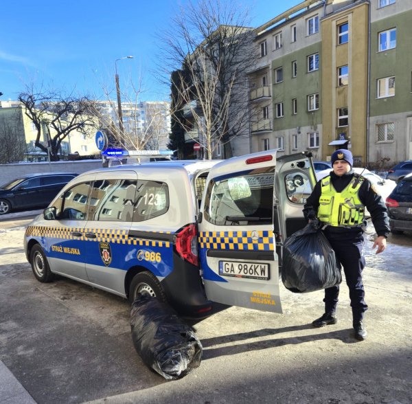 Mróz nie odpuszcza. Gdyńscy strażnicy miejscy ze wsparciem dla mieszkańców