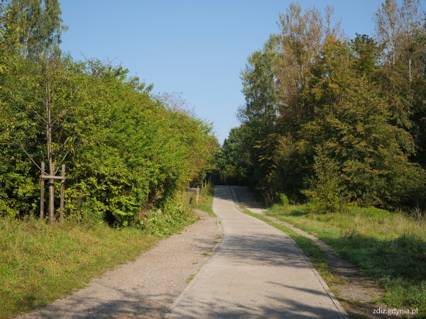 Bezpieczna i równa ścieżka rowerowa w parku Kolibki