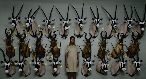 „Safari” zapowiedzią festiwalu Millennium Docs Against Gravity