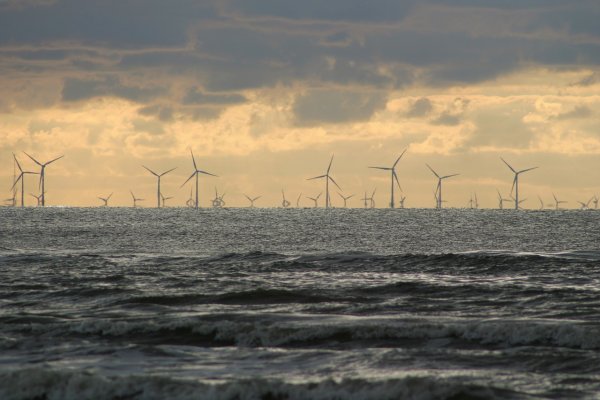 Duński potentat elektrowni wiatrowych #wGdyni