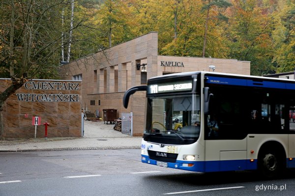 Dzień Wszystkich Świętych – sprawdź dojazd do cmentarzy