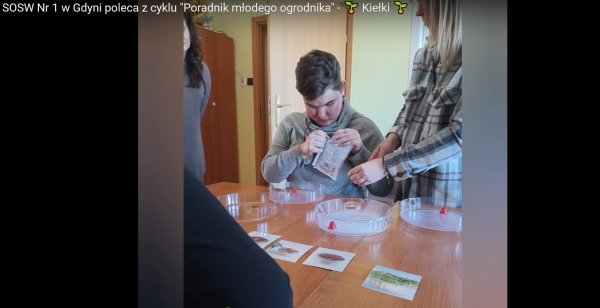 Kiedy ogród ma działanie terapeutyczne