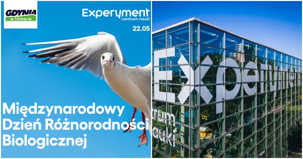 Dbajmy o różnorodność biologiczną