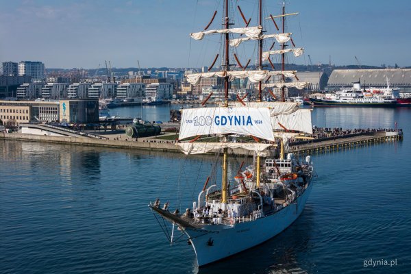 Uniwersytet Morski w Gdyni szuka wykonawcy następcy „Daru Młodzieży”