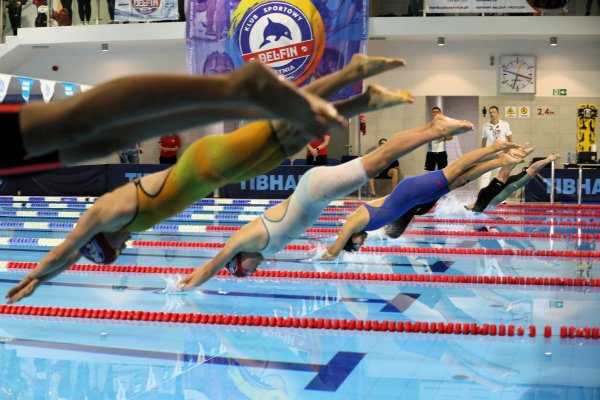 Od młodzika do olimpijczyka, czyli Gdyńskie Delfinarium