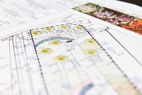 Nowe drzewa, krzewy i byliny. Planujemy nasadzenia