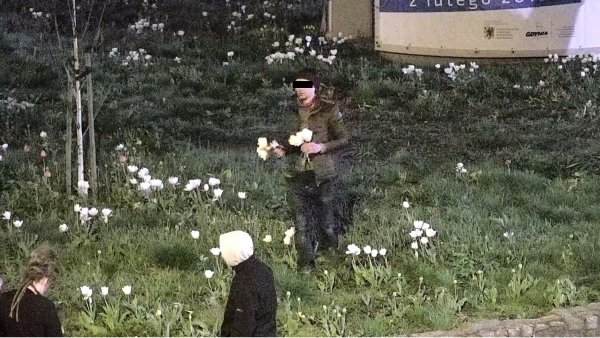 Na Świętojańskiej giną chryzantemy, kamery to widzą!