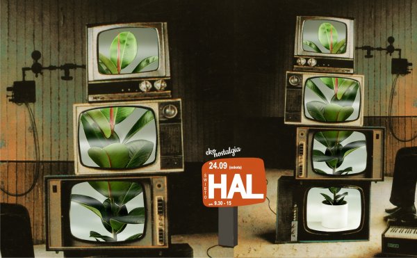 Ekologiczne i nostalgiczne Święto Hal Targowych