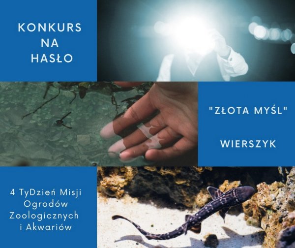 Wymyśl hasło i promuj Akwarium Gdyńskie