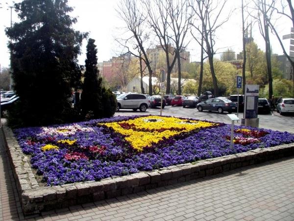 Takie kwiatki na wiosnę