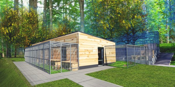 W „Ciapkowie” powstanie nowy pawilon dla kotów