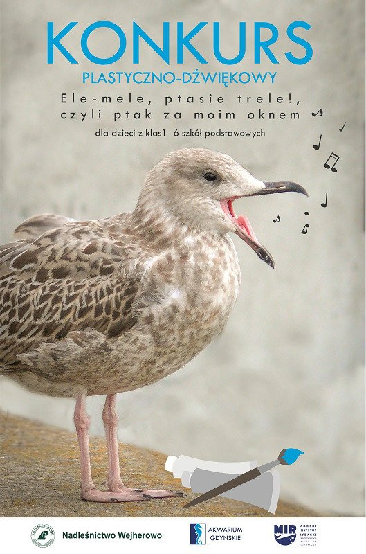 Ele-mele, ptasie trele! - konkurs dla dzieci