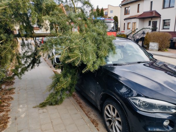 Znów powieje – nadchodzi cyklon wtórny Willy