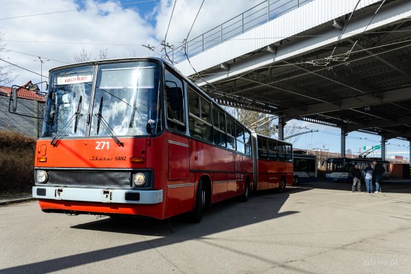 Przegubowy Ikarus zasili flotę zabytkowych „trajtków”