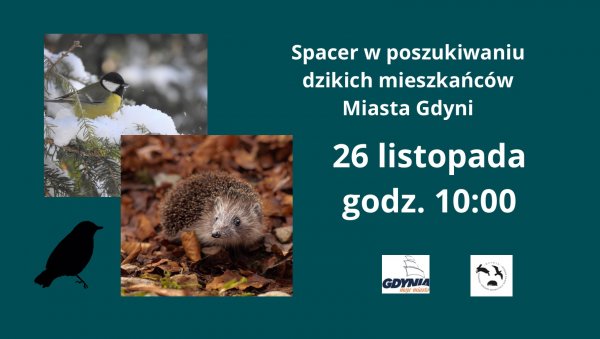 Gdzie spotkamy #wGdyni jeża?