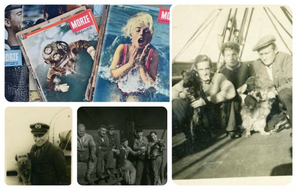 Co ma pies do morza? Aukcja dla Ciapkowa