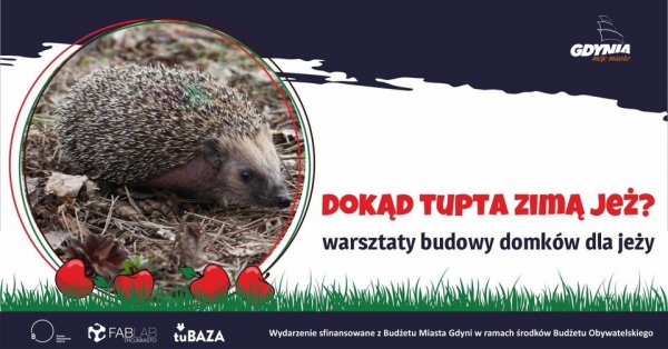 Dokąd tupta zimą jeż? Warsztaty budowy domków dla jeży