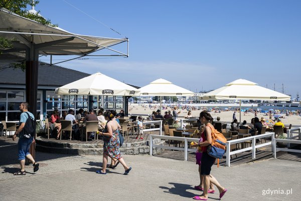 Gdynia turystycznie. Rozsądne ceny za wysoką jakość