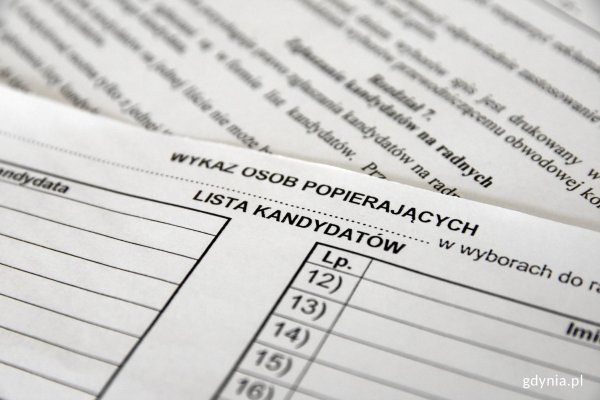 Wybory do rad dzielnic - informator dla kandydata