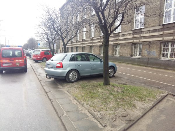 500 zł mandatu za parkowanie na trawniku!