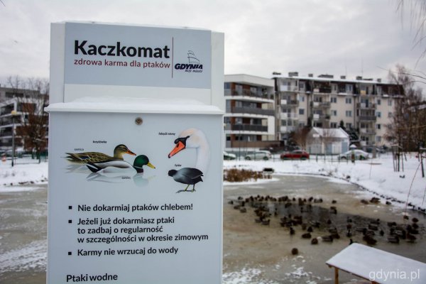 Karmisz kaczki? Skorzystaj z kaczkomatu