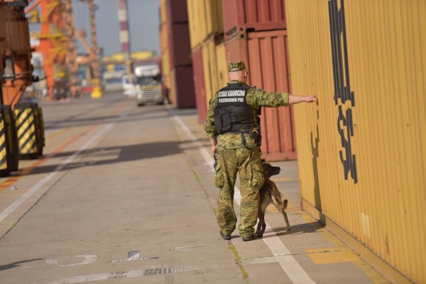 Pogranicznicy rekrutują! Dołącz do MOSG