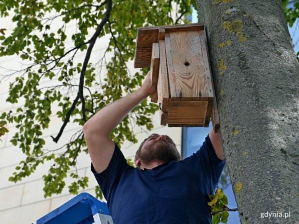 Światowy Dzień Ptaków w Gdyni