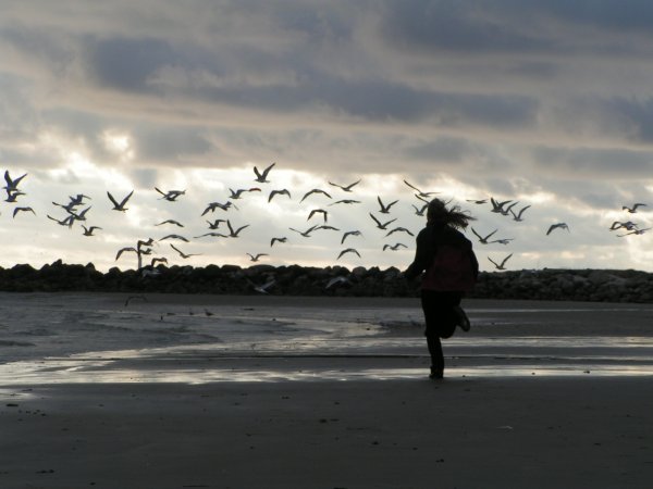 Żonkilowa sztafeta dla hospicjum