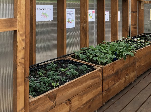 Miasto dobrze zaprojektowane – ruszył konkurs Centrum Designu Gdynia