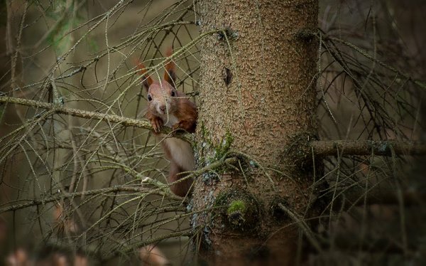 Niezwykłe niedziele w ogrodzie w Marszewie