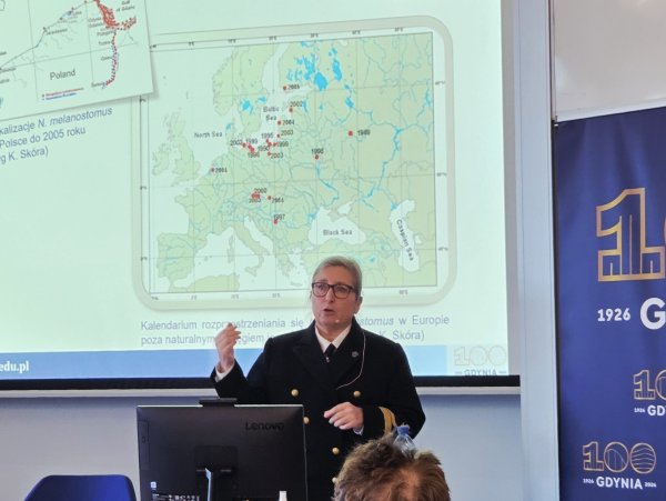 Bałtyk młody i płytki, a w nim... rekiny i koniki morskie