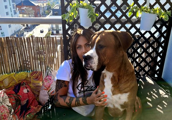 Adopcja od serca, ale i z głową – poznaj historię Pabla