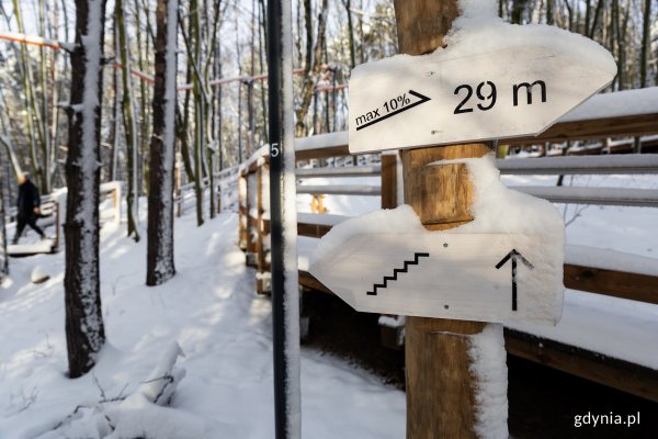 Parcul forestier din Oksywie.  Un nou spațiu fără bariere