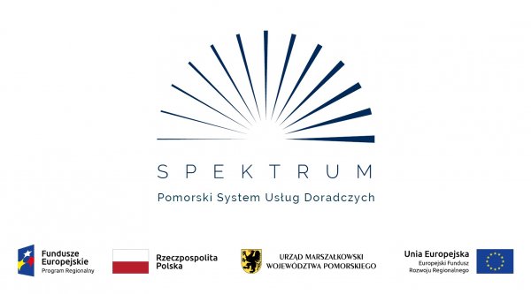 Spektrum doradców dla twojej firmy