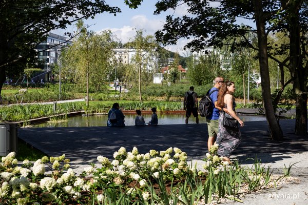 Internauci wybrali Park Centralny 