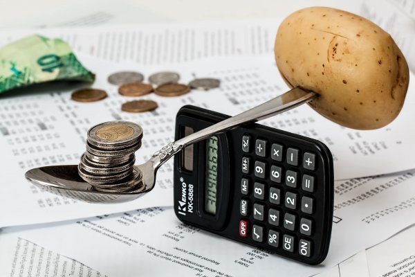 Łapiesz się na „Mały ZUS Plus”? Zgłoś to do końca stycznia! 