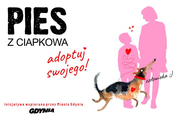 Adoptuj mnie. Poznaj podopiecznych „Ciapkowa”