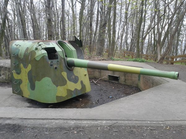 Uporządkowano historyczne stanowiska artyleryjskie na Kępie Redłowskiej