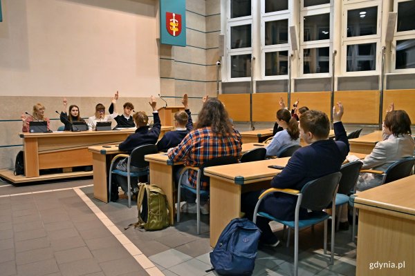 Młodzieżowa Rada Miasta Gdyni obradowała na ostatniej sesji w tym roku