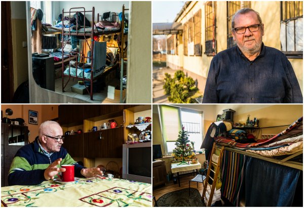 Schronisko to nie wszystko. W Gdyni robią znacznie więcej