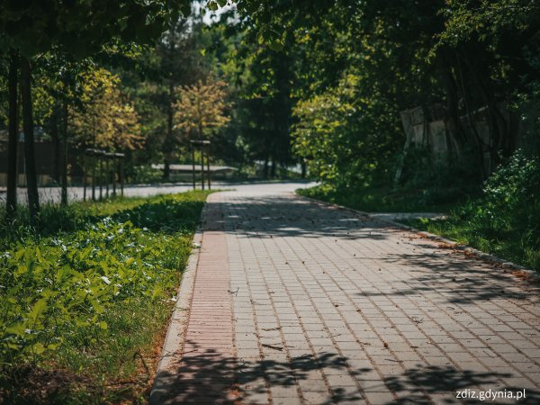 Przed zimą skosimy miejskie trawniki