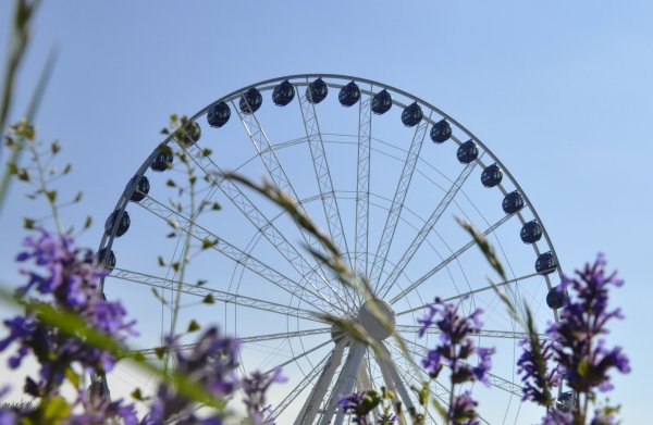 Największe koło widokowe ponownie w Gdyni